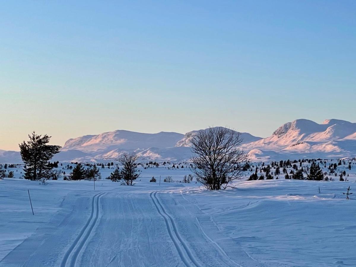 Torpo Gjestegård Sykkel og Skicamp Hotell Eksteriør bilde