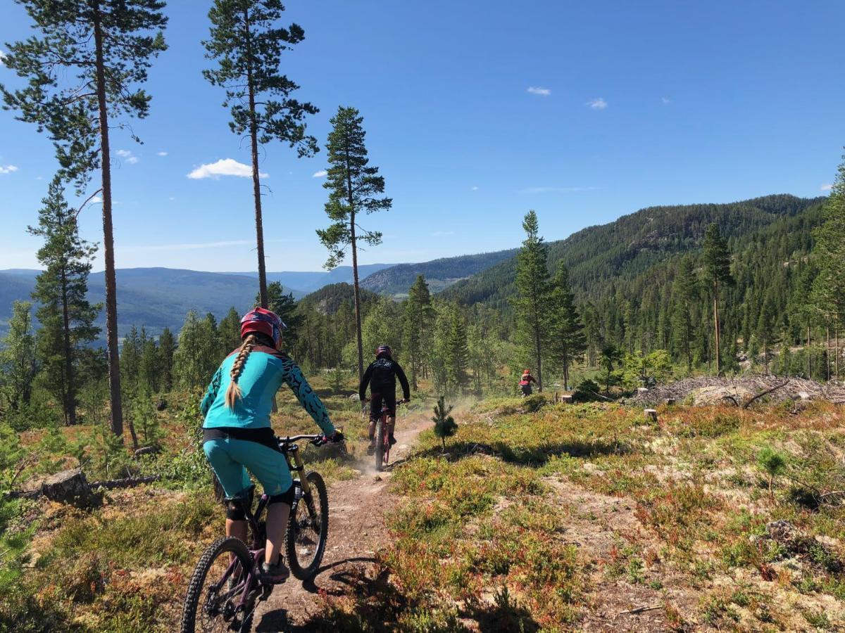 Torpo Gjestegård Sykkel og Skicamp Hotell Eksteriør bilde